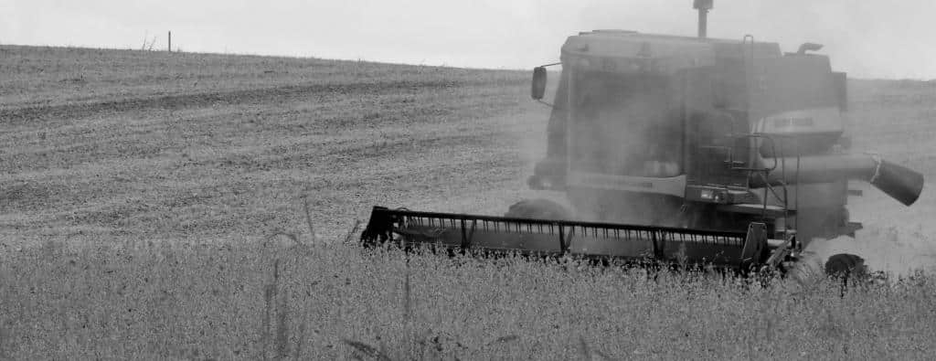 Agronegócio: É possível melhorar ainda mais os resultados?