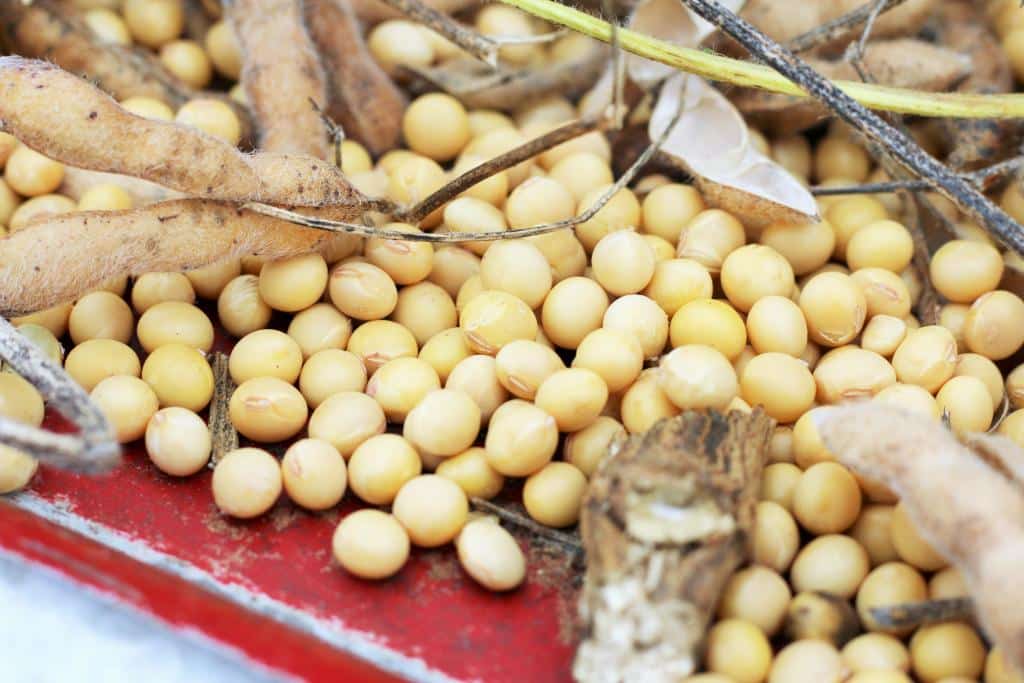 Desgaste de peças no agronegócio